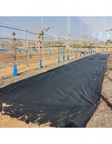 malla antihierba malla antihierba